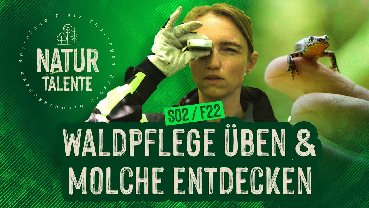 Waldpflege &uuml;ben & Molche entdecken | #NATURTALENTE Folge 22 I Staffel 2