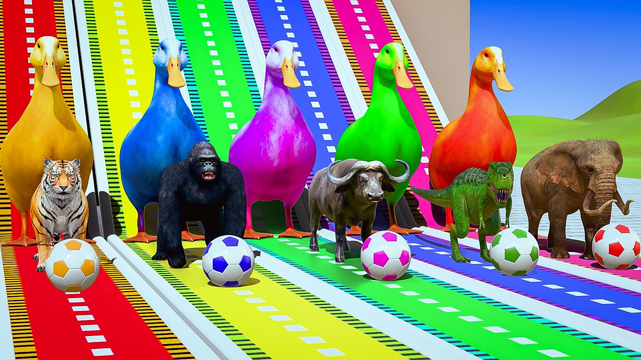 Long Slide Game with Cow Elephant Gorilla Hippopotamus Tiger 3d Animal Game Funny 3d Animals
