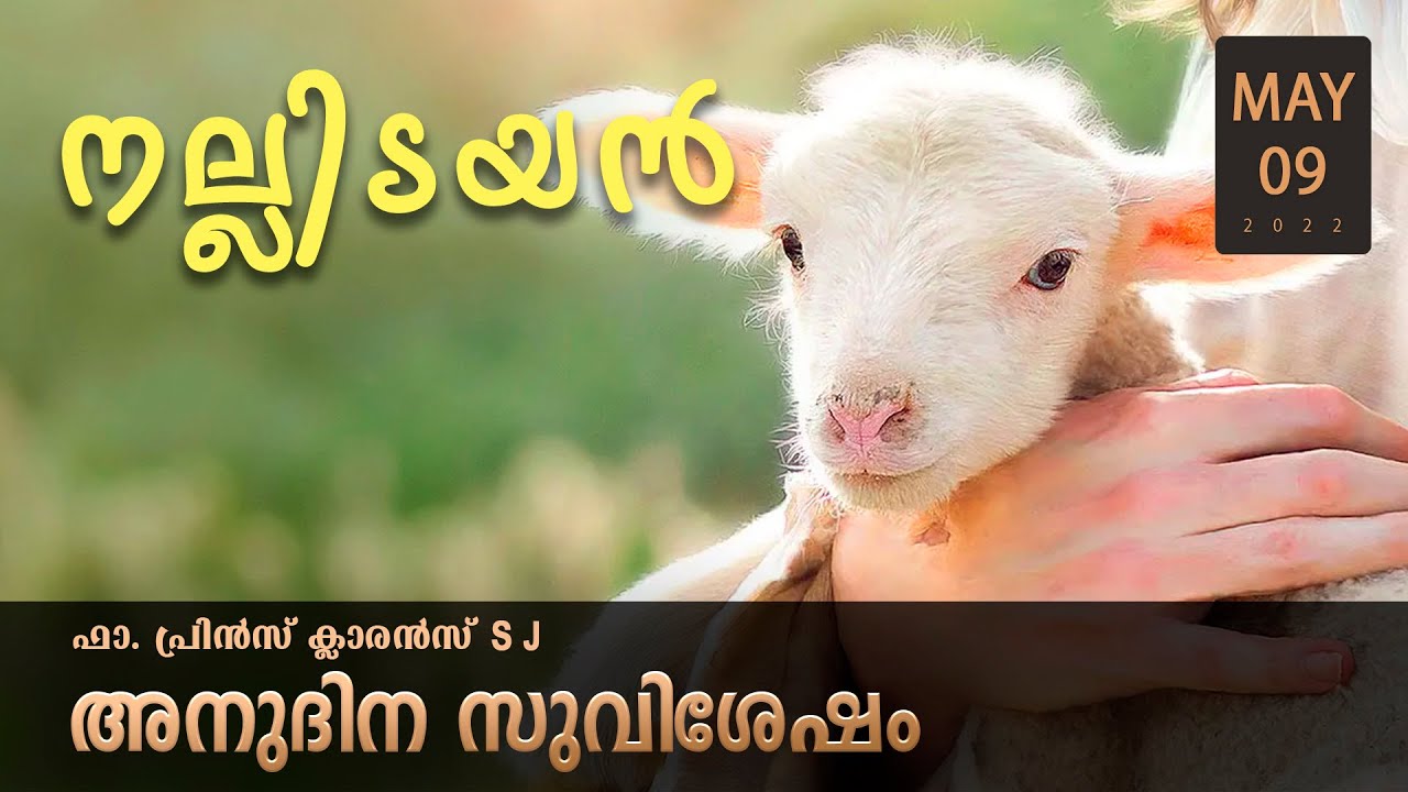 Jesus the Good Shepherd l May 09 I Daily Gospel Reflection l Malayalam Talk I Fr. Prince Clarence SJ