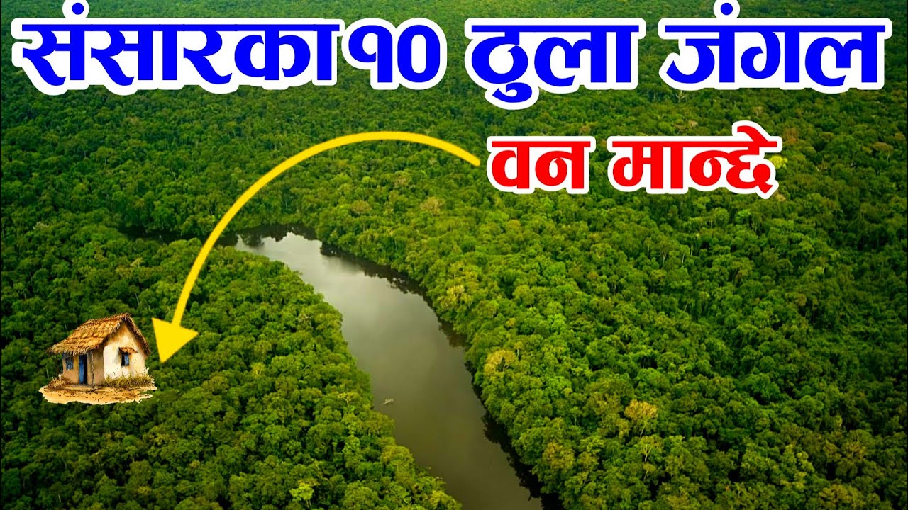 संसारका 10 ठुला जंगल हरु || 10 Biggest Forest In The World