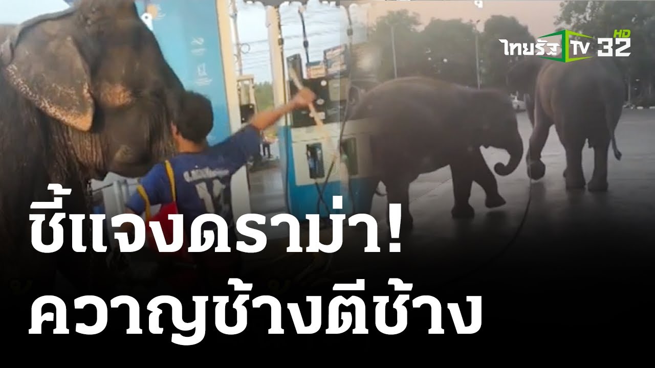 ช้างหลุดเข้าปั๊ม ควาญตีอย่างแรง | 22 มี.ค. 67 | ข่าวเที่ยงไทยรัฐ