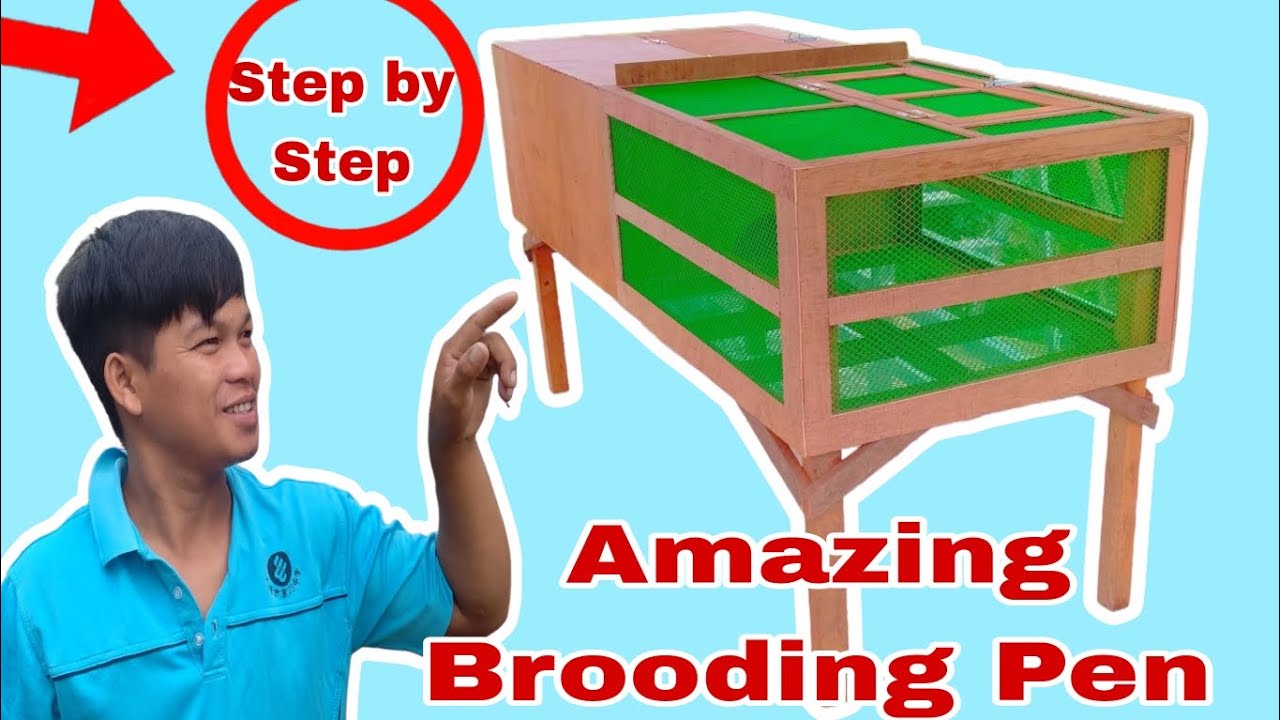 HOW TO MAKE BROODING PEN FOR CHICKS/PAANO GUMAWA NG BROODER(Full Tutorial).   #brooder #tutorial