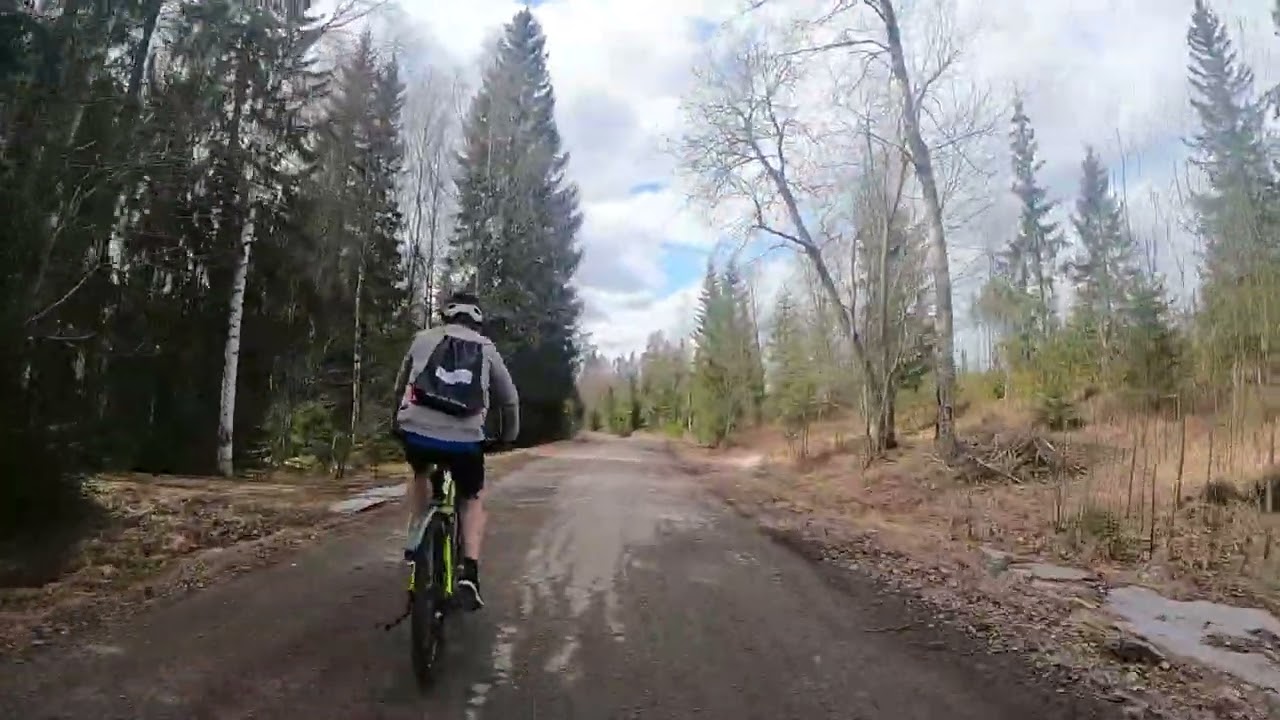 Fietsen in de Zweedse bossen