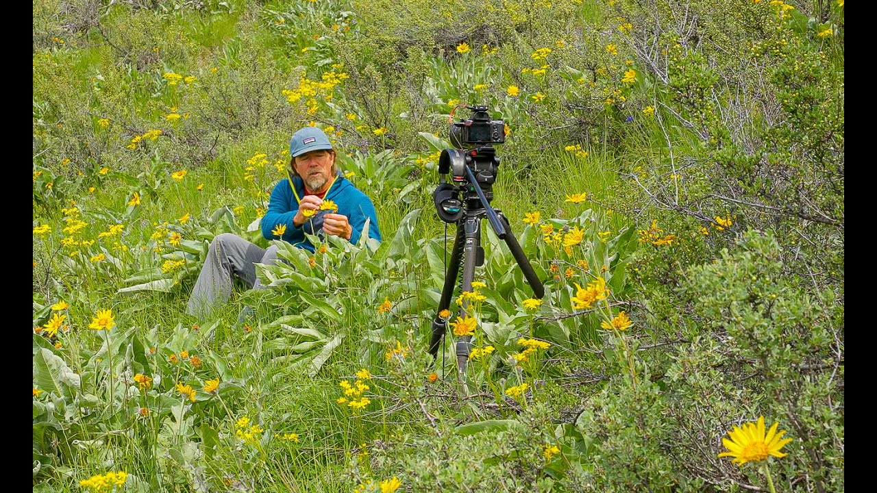 How to Make a Flower Video