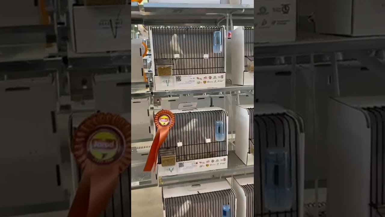 Concurso nacional ornitológico en jerez
