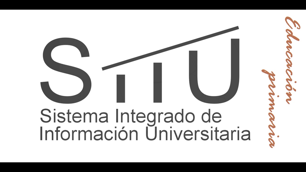 Educación primaria: lo que tienes que saber