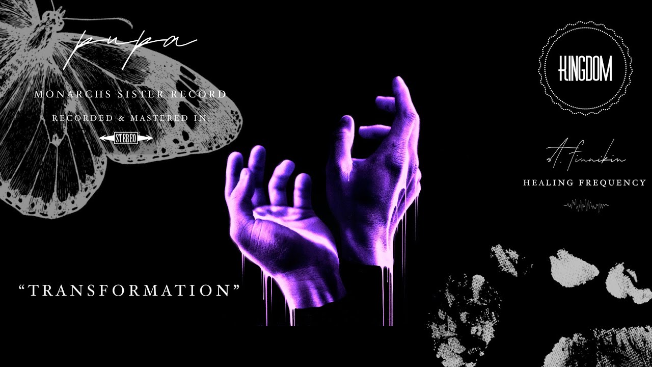 St. Finnikin - Transformation (Audio/Visualizer)