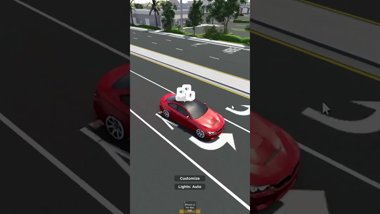 INSANE POLICE CHASE IN SWFL