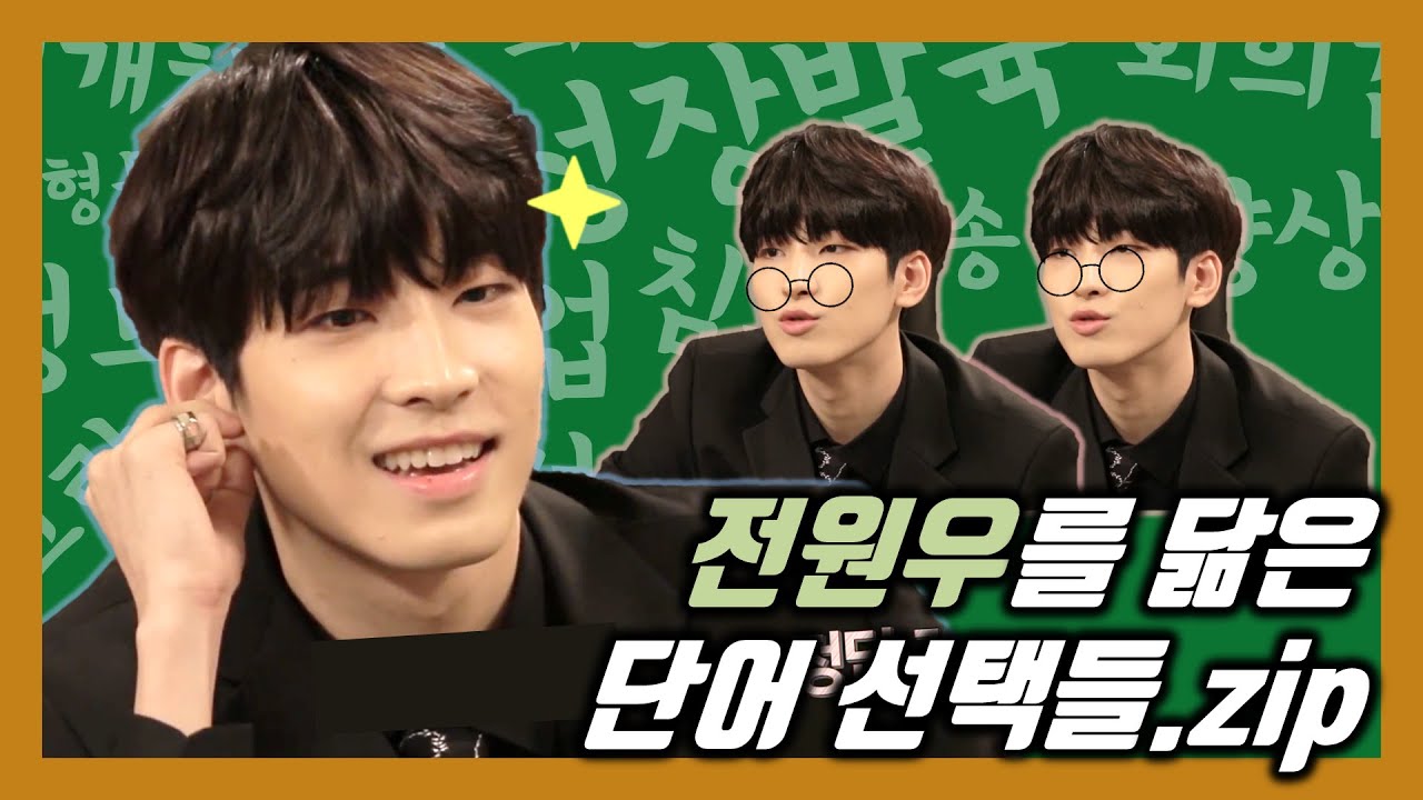 [세븐틴/원우] 원우의 단어 선택을 모아보았다📚