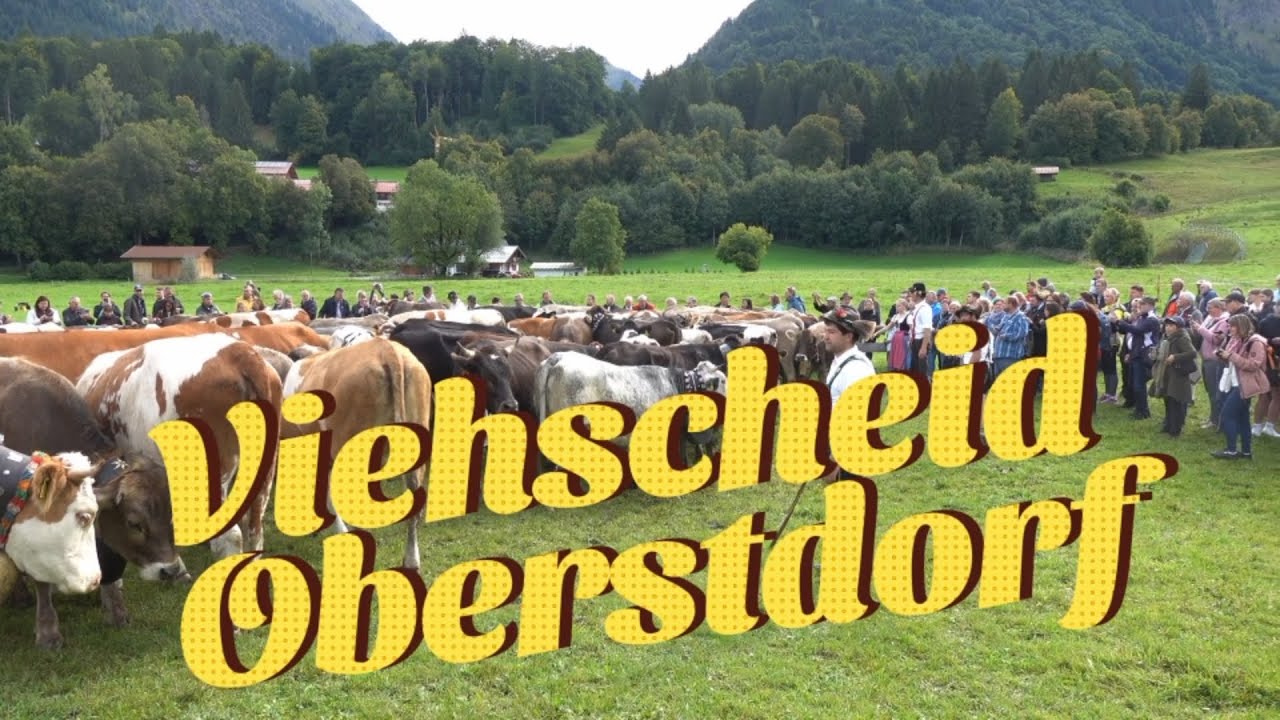 🇩🇪 Part 2 Viehscheid Oberstdorf 2025 | Allgäu