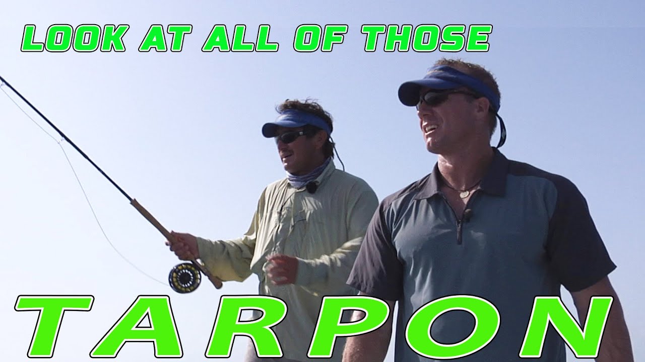 This Is Why I Love Fly Fishing Isla Holbox For Tarpon!!!