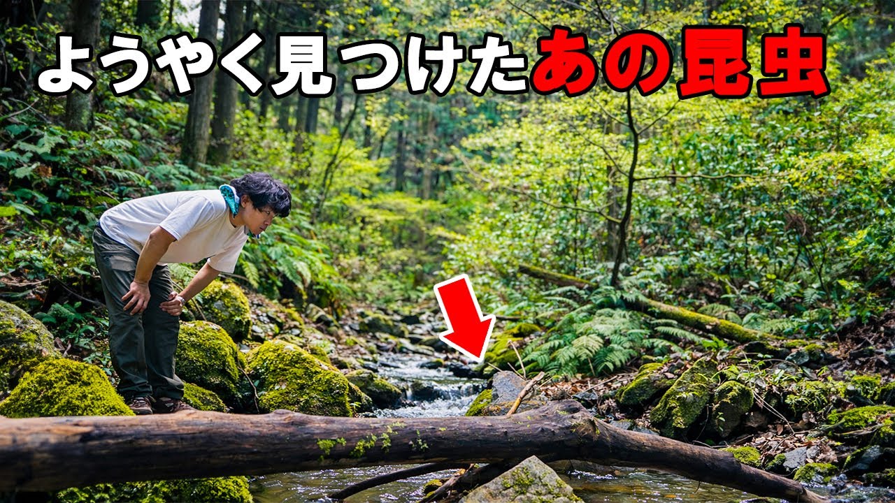 ついに発見！4日間探し続けた昆虫の正体は・・・