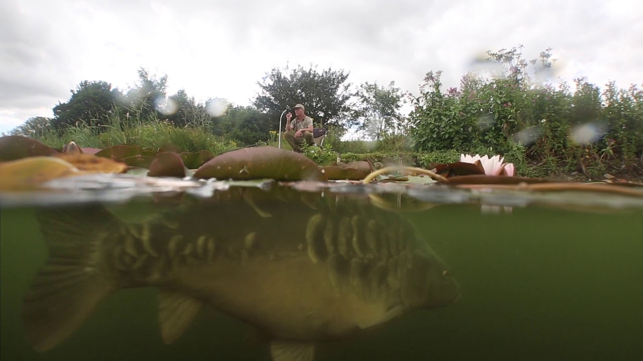 FishSpy Echo Pro - Sonar and Live View Underwater Camera Combined
