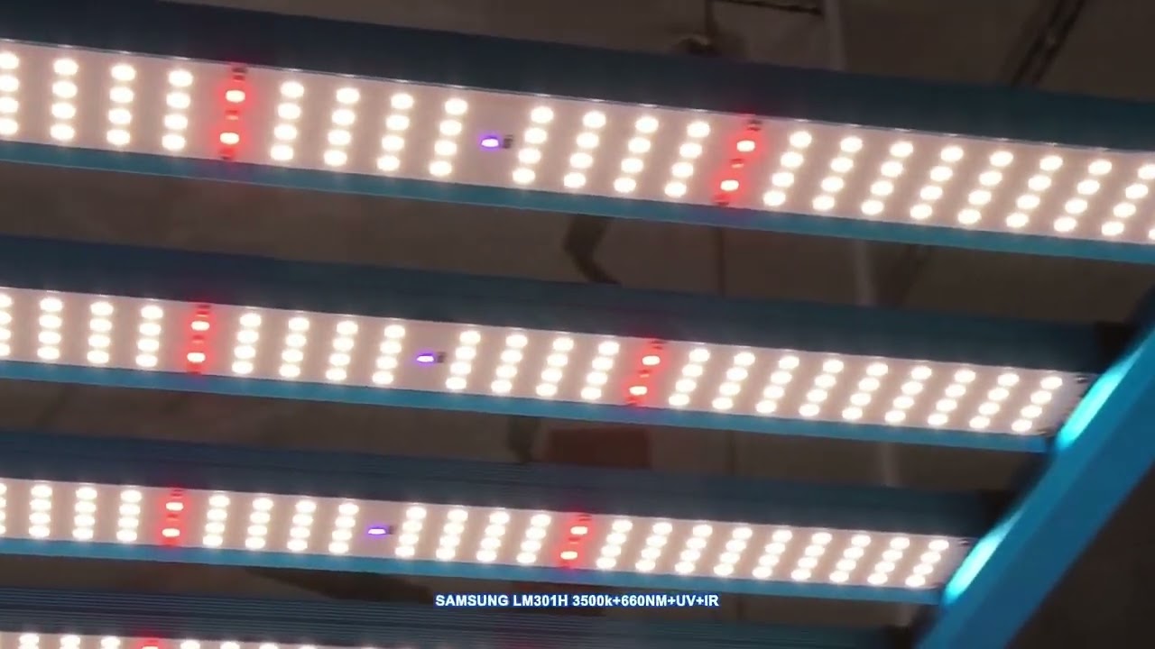Quantum bar Kingbrite 480Вт Samsung LM301H 3500k + Epistar UV+IR+660nm