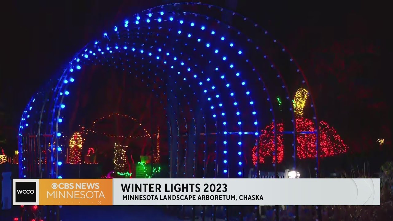 Previewing the Minnesota Landscape Arboretum's Winter Lights display