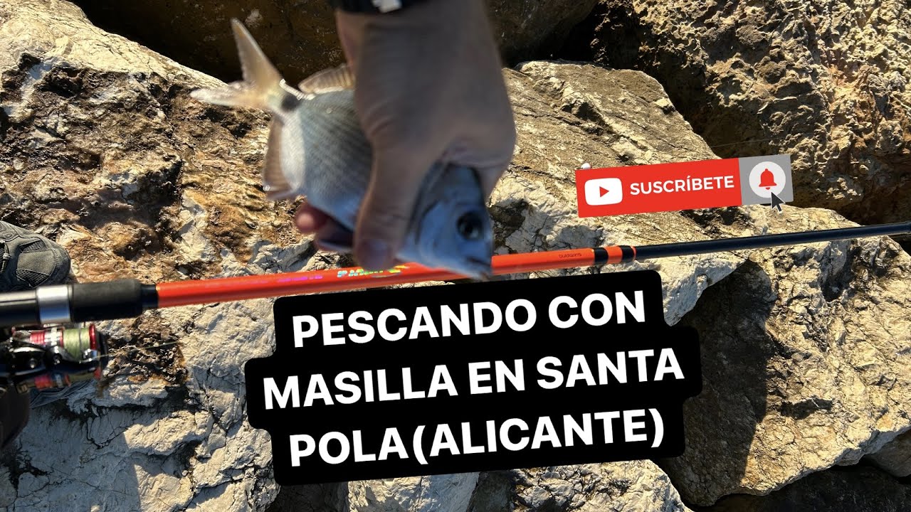 PESCANDO CON MASILLA 🥔 EN Santa Pola(ALICANTE)