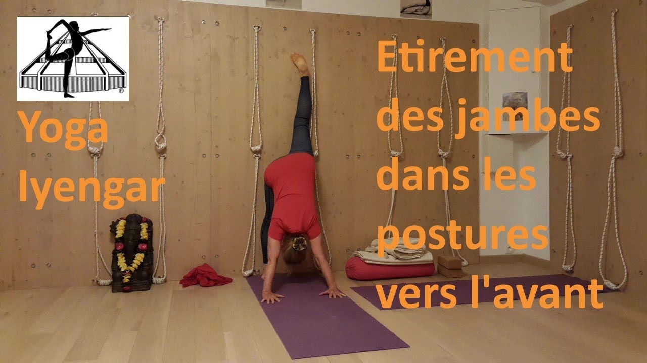 Yoga Iyengar™. Etirement des jambes dans les postures vers l'avant