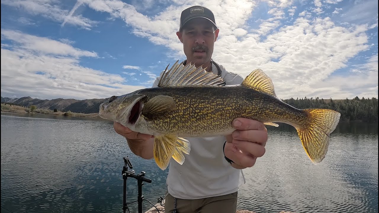 Shallow Water Walleye