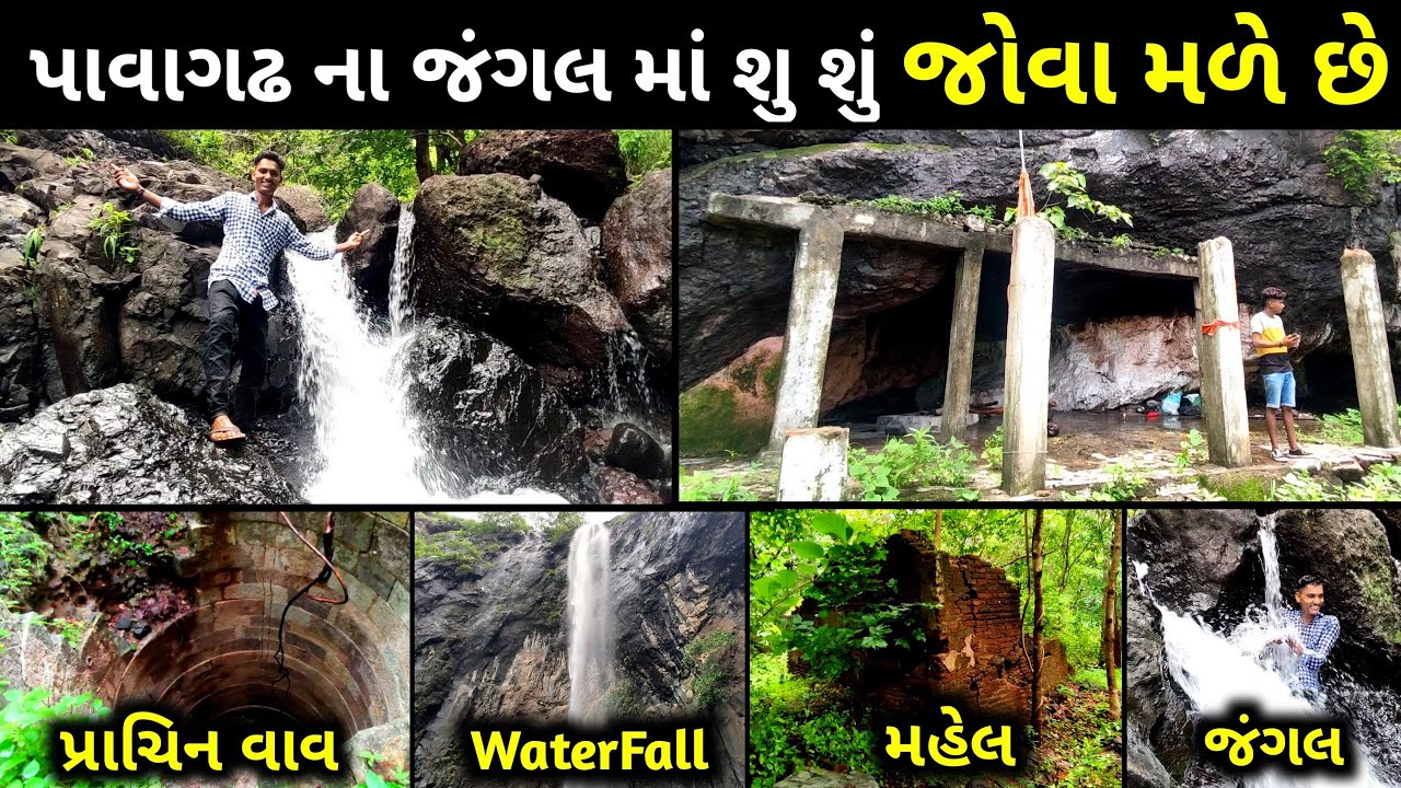 પાવાગઢ નુ ખતરનાક જંગલ | Pavagadh In Monsoon | Pavagadh | પાવાગઢ | Jangal | Pavagadh Waterfall