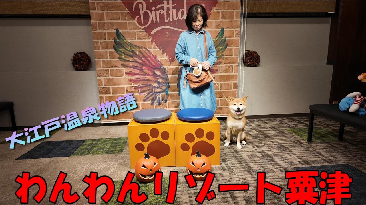 【犬連れ旅】「わんわんリゾート粟津」で家族風呂に入ってバイキングを堪能したよ🐶