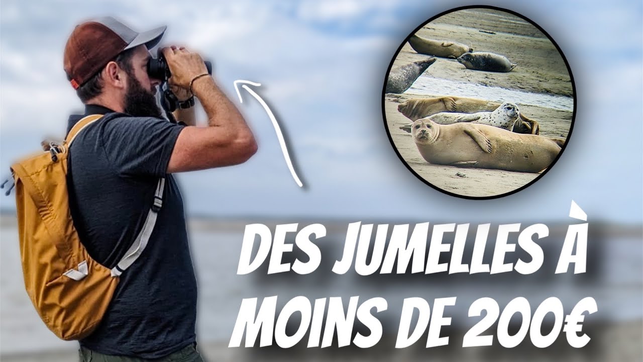 Comment choisir ses jumelles ? (test jumelles 10x42 pour la randonnée et l’observation animalière.)