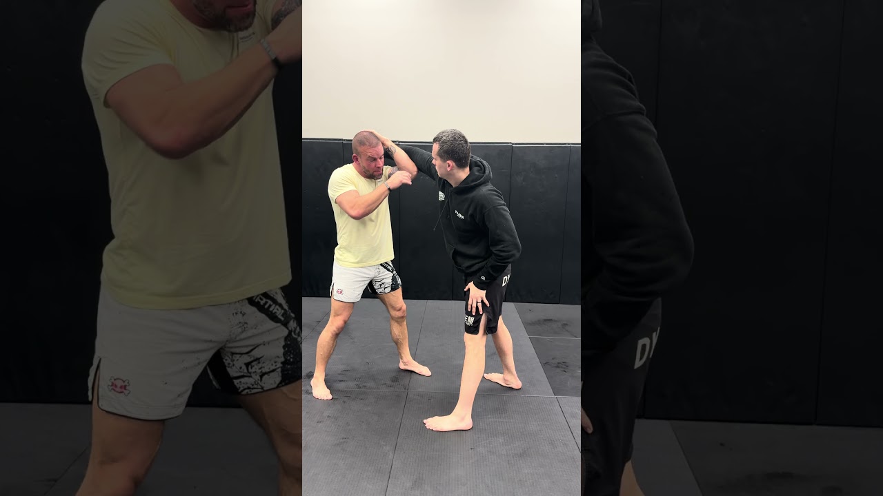 Защита Хеймейкера