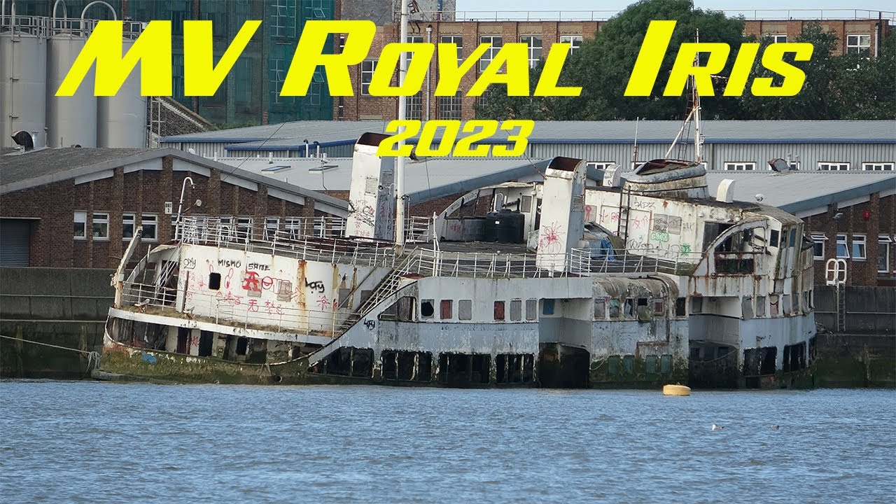 MV Royal Iris 2023 on the River Thames
