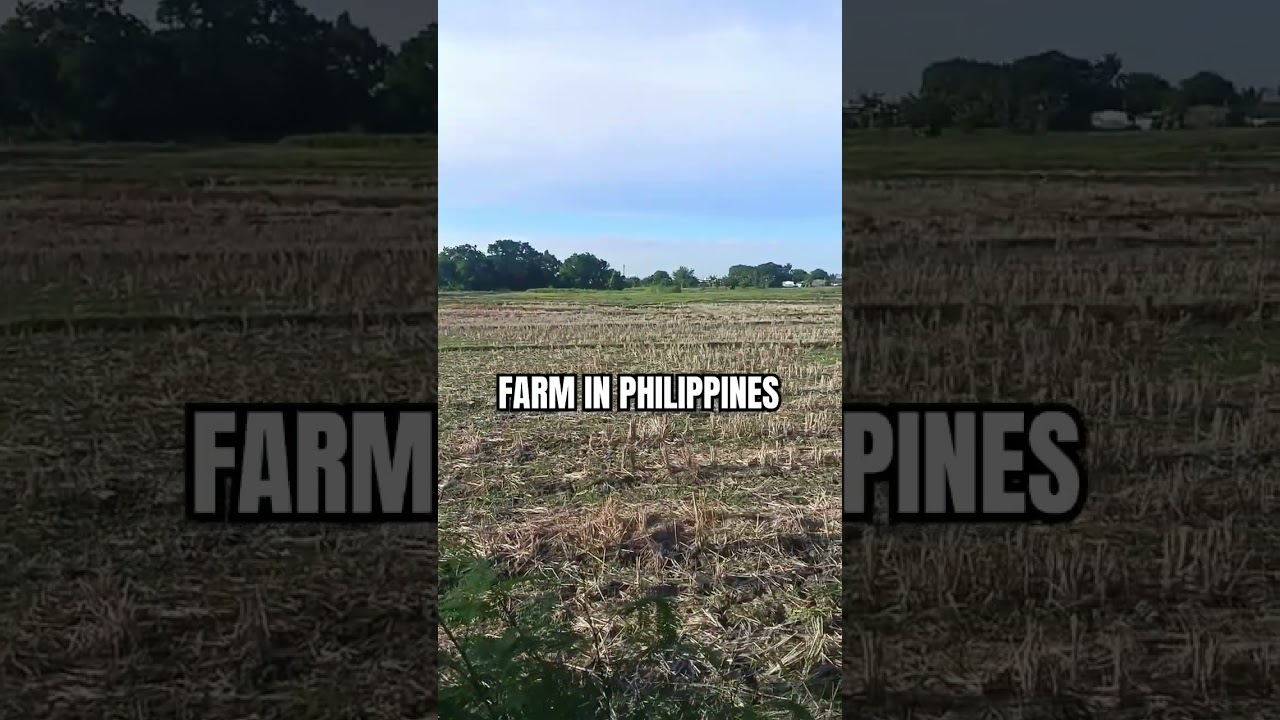 Proud To All Pinoy Framer #trending #trending #pinoychallenger #pinoylife