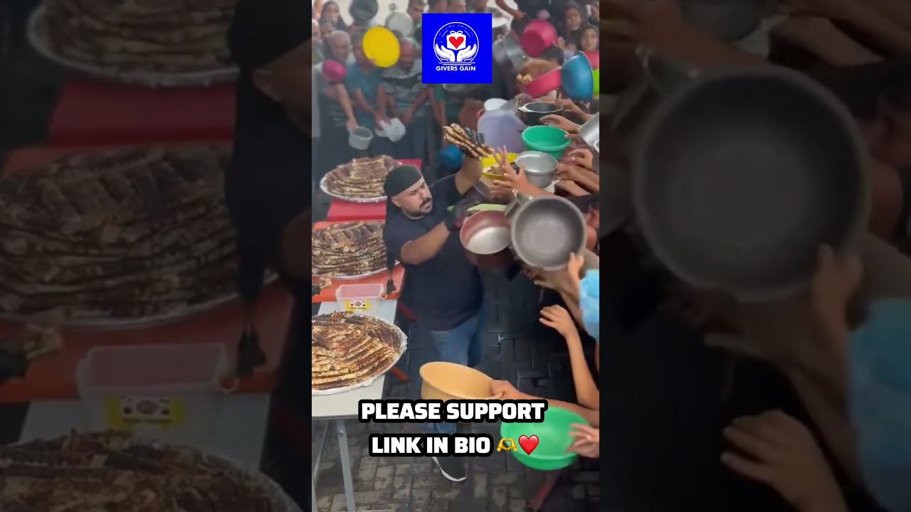 Families in Gaza are struggling to find food and support their children.