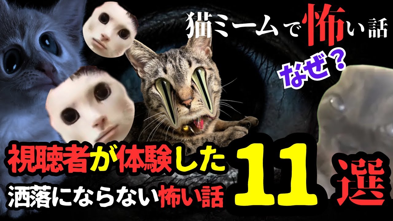 【総集編】視聴者がマジで体験した怖い話 11選【猫ミーム×ホラー】#猫マニ #怖い話 #体験談