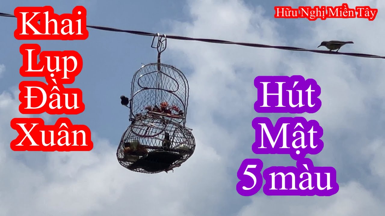 Khai lụp đầu năm và cái kết tuyệt vời