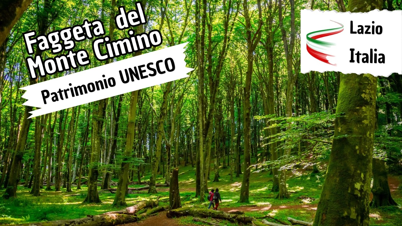 Faggeta Vetusta del Monte Cimino 🌲 | Patrimonio UNESCO e Tesoro Naturale del Lazio