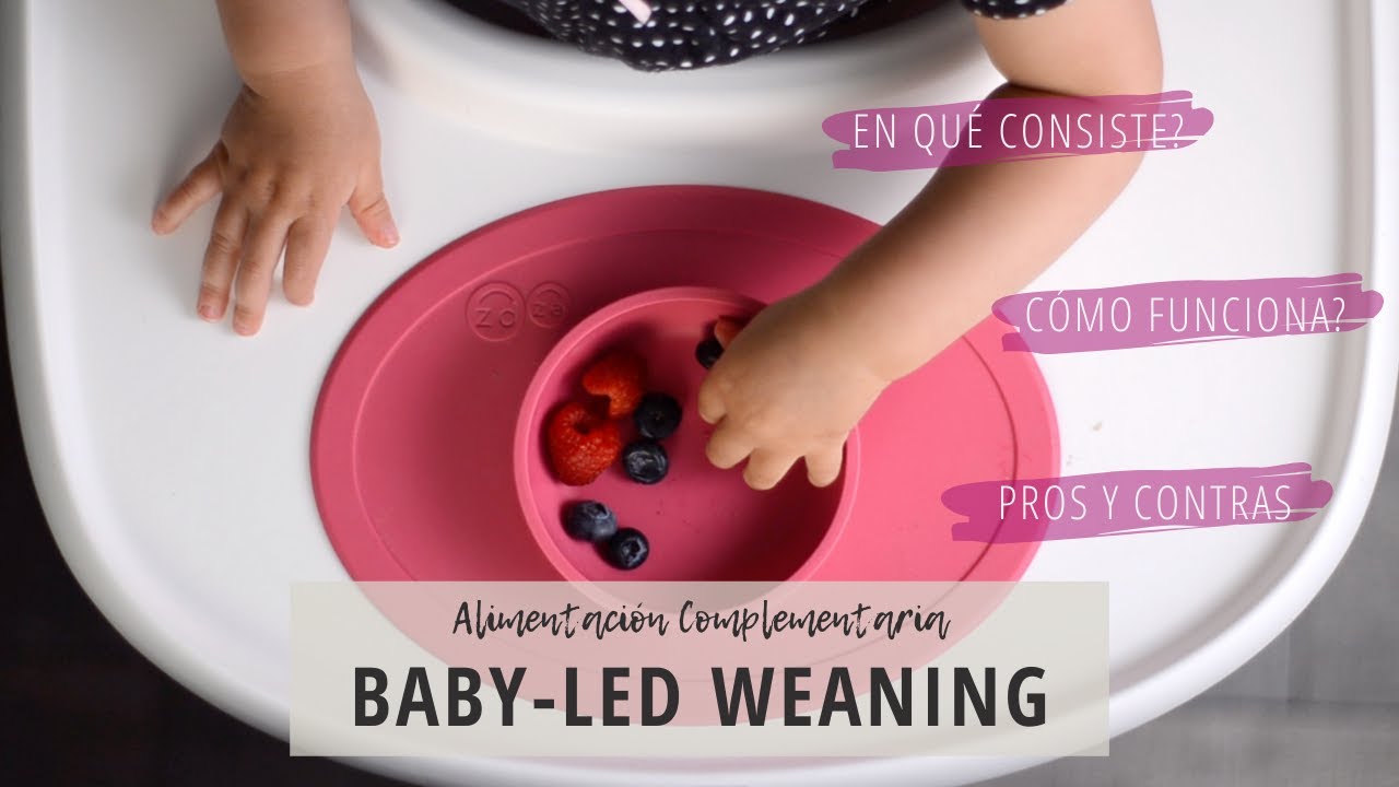 ALIMENTACIÓN COMPLEMENTARIA - BLW