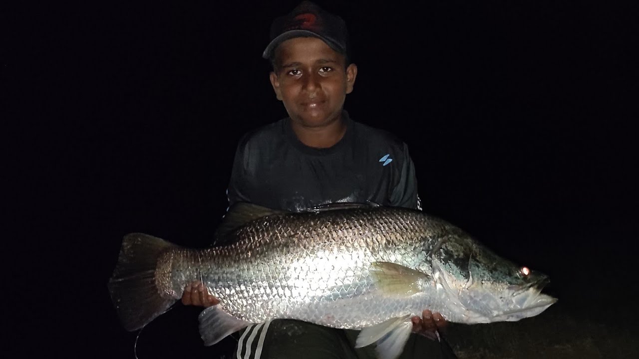 Barramundi (kuraal) fishing in night hours with Reel & Rod using soft lures, tips for beginners....