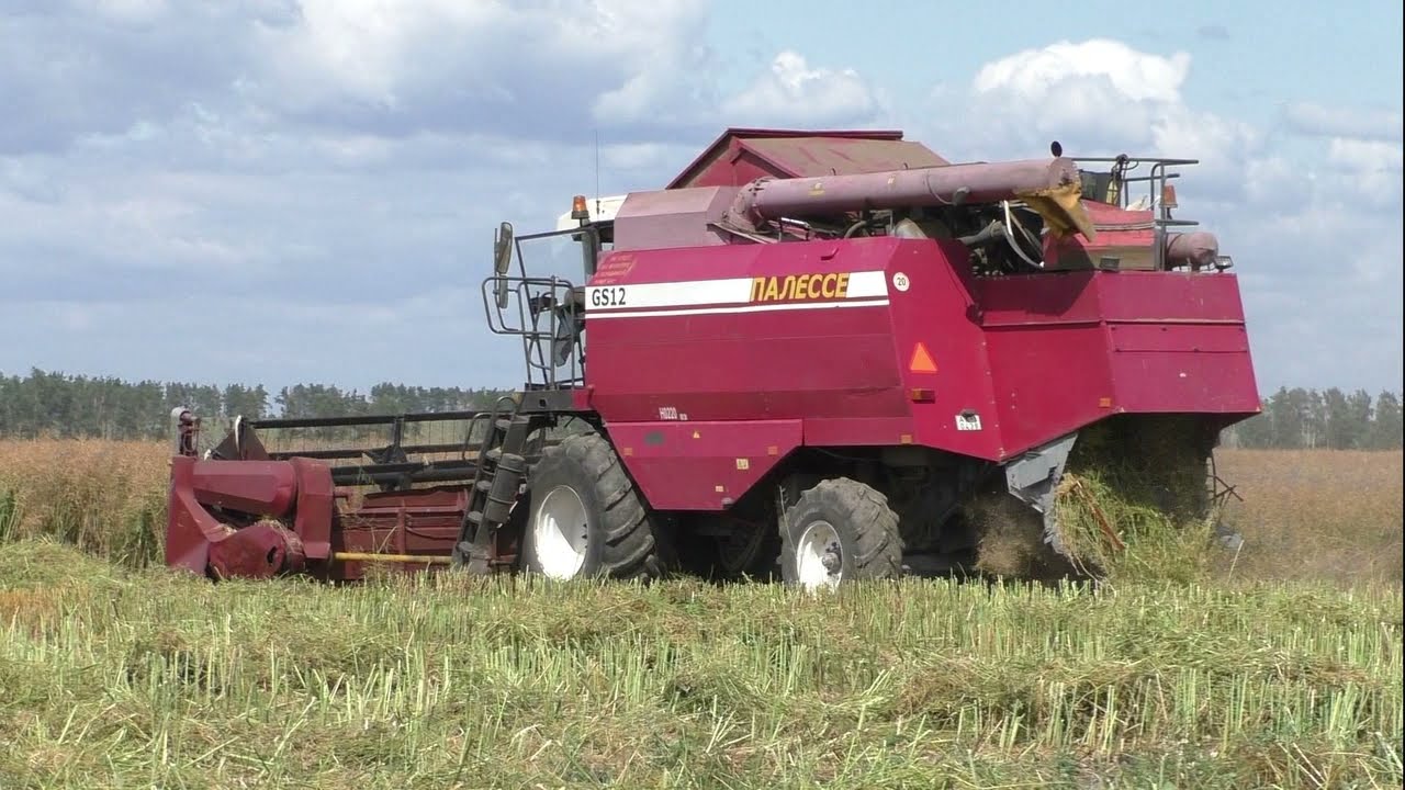 уборка рапса - канолы комбайнами  полесье gs 12. John Deere 9640