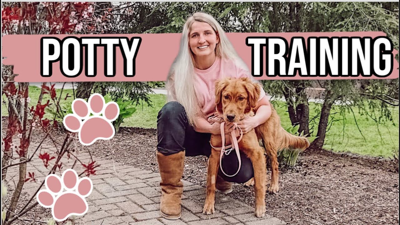 How We Potty Trained Our Puppy | How We Bell Trained Her