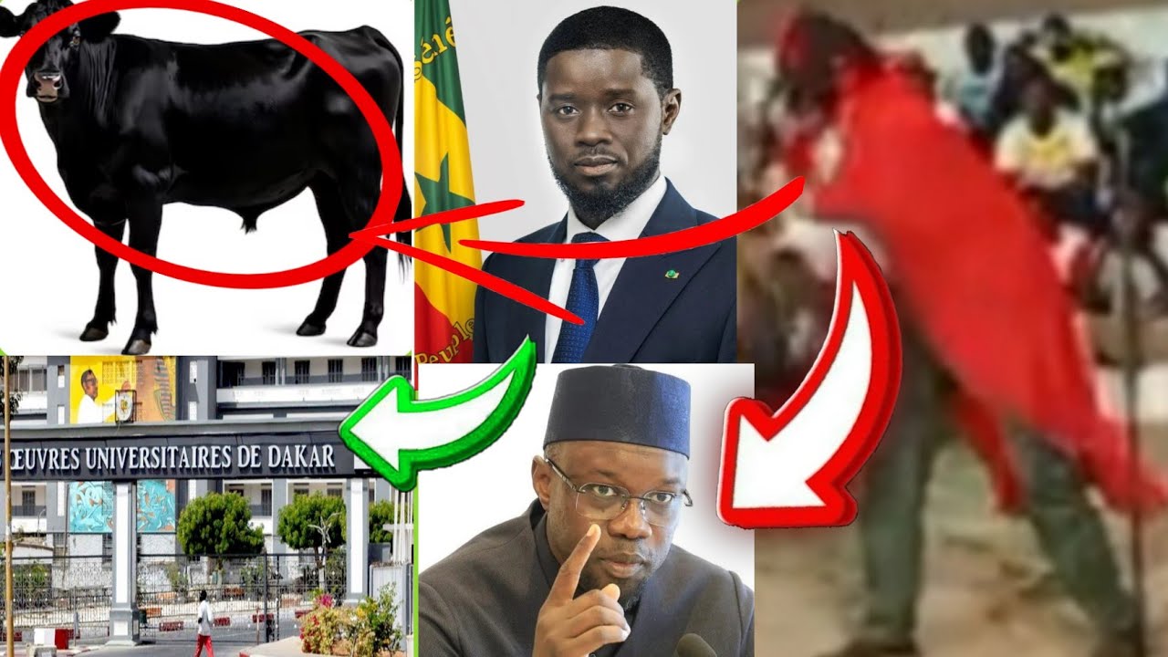 VAR Thiowly Thi Universitè bi avait Prèdit Saltiguy Badara , Na Gourgui Sarakhè Nag  bou Gnoul..