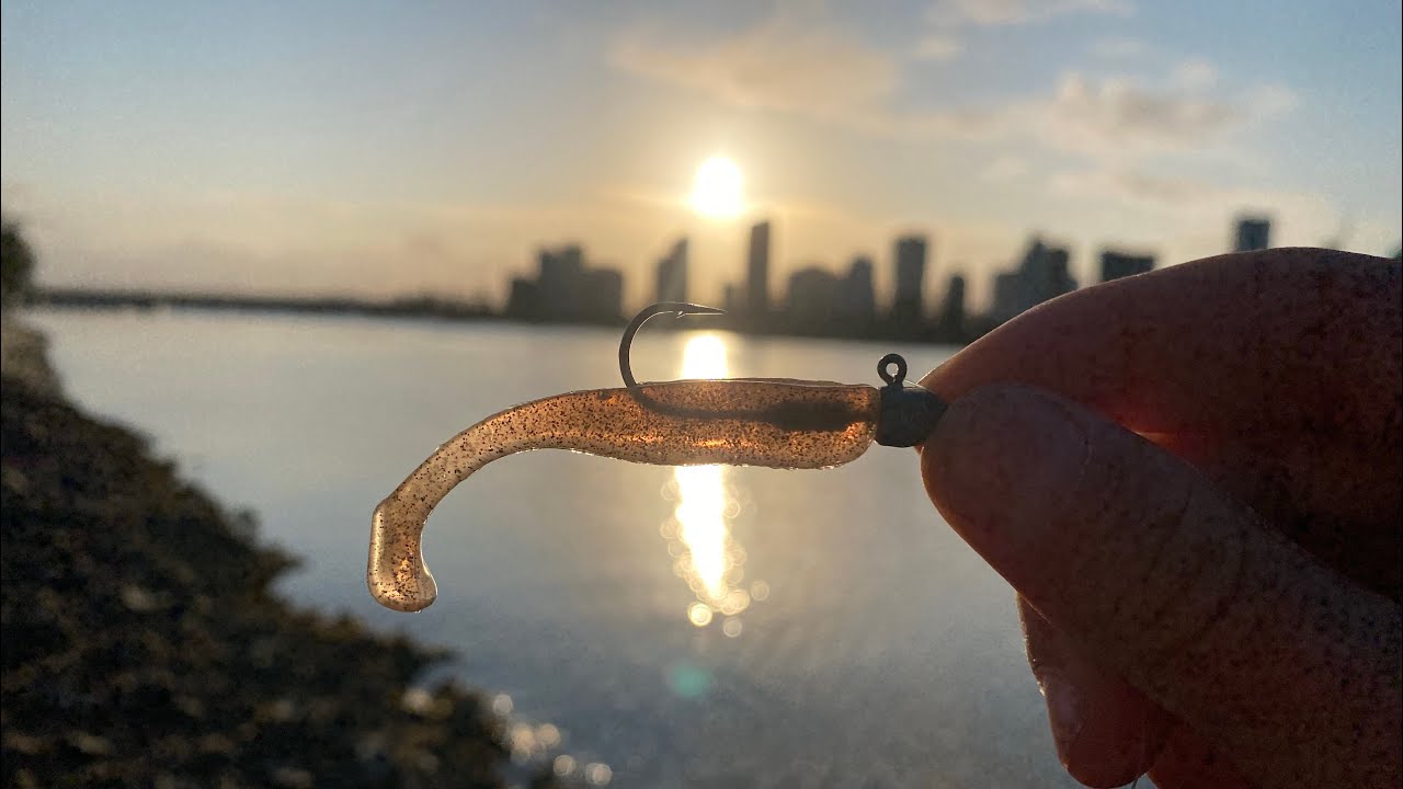 Landbased Fishing For Picky Flathead at SouthPort/Nerang River With Lures! - New PB!!