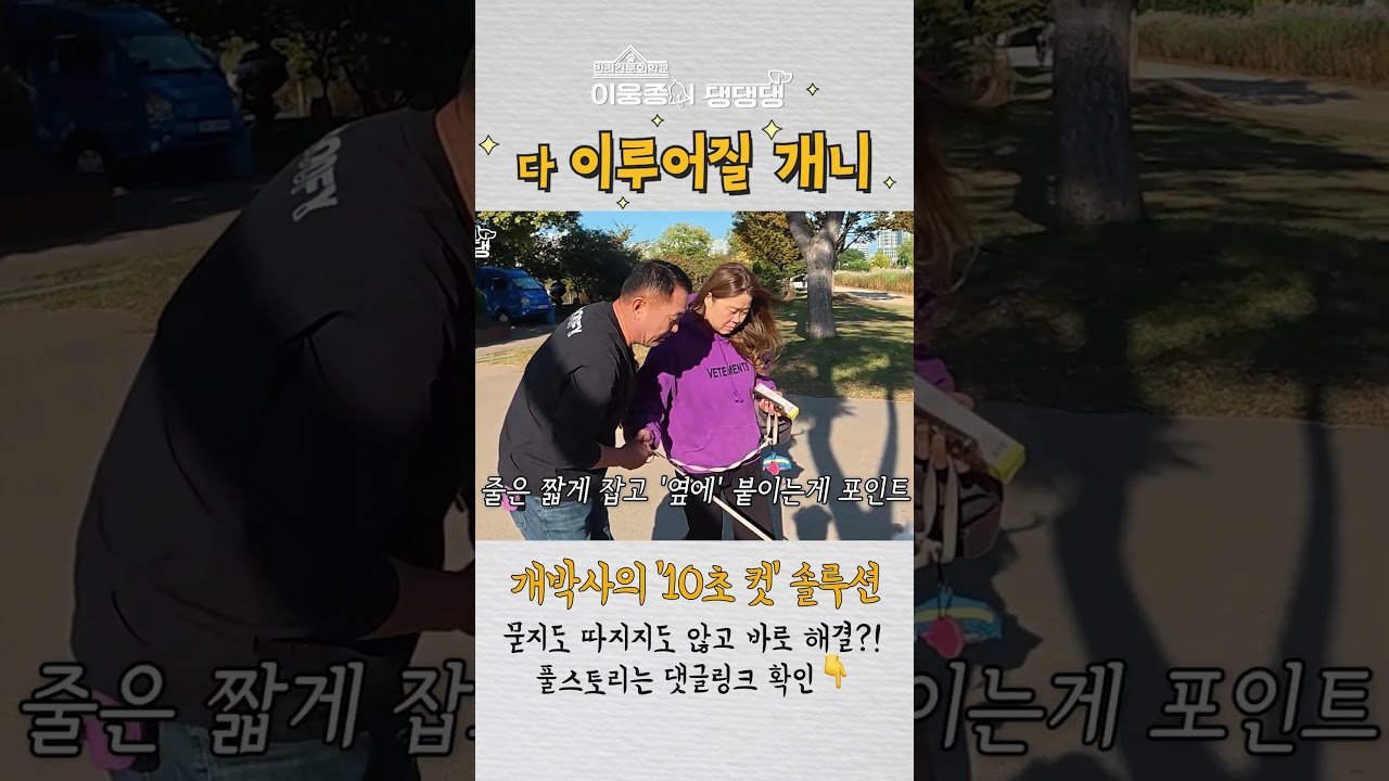 개박사의 즉석 과외 모음 #이웅종 #강아지 #이웅종이댕댕댕 #강아지훈련 #산책교육 #흥분견 #짖음문제 #강아지꿀팁 #shorts #10초컷 #인형뽑기달인 #댕댕이 #반려견동반식당