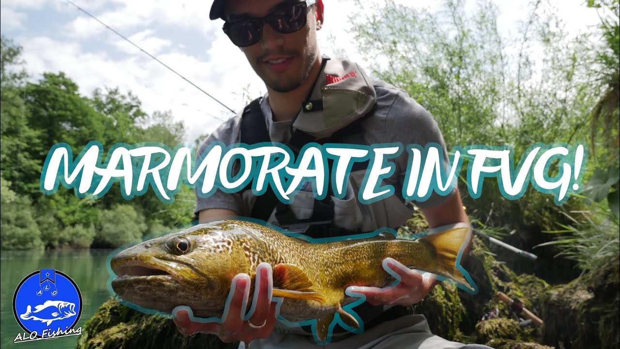 UNA MARMO DA SOGNO! - Spinning alla Trota Marmorata in Friuli Venezia Giulia