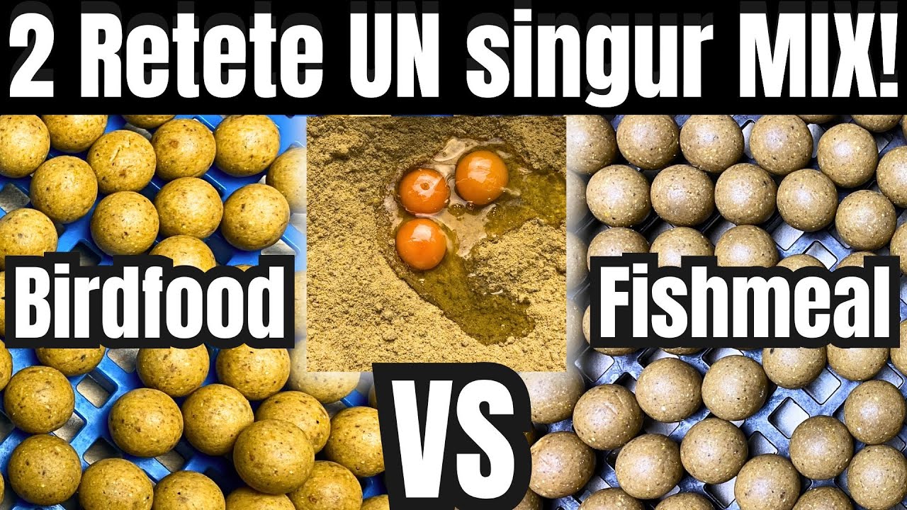 2 Rețete Puternice dintr-un Singur MIX! Birdfood vs Fishmeal – Care Prinde Mai Bine?