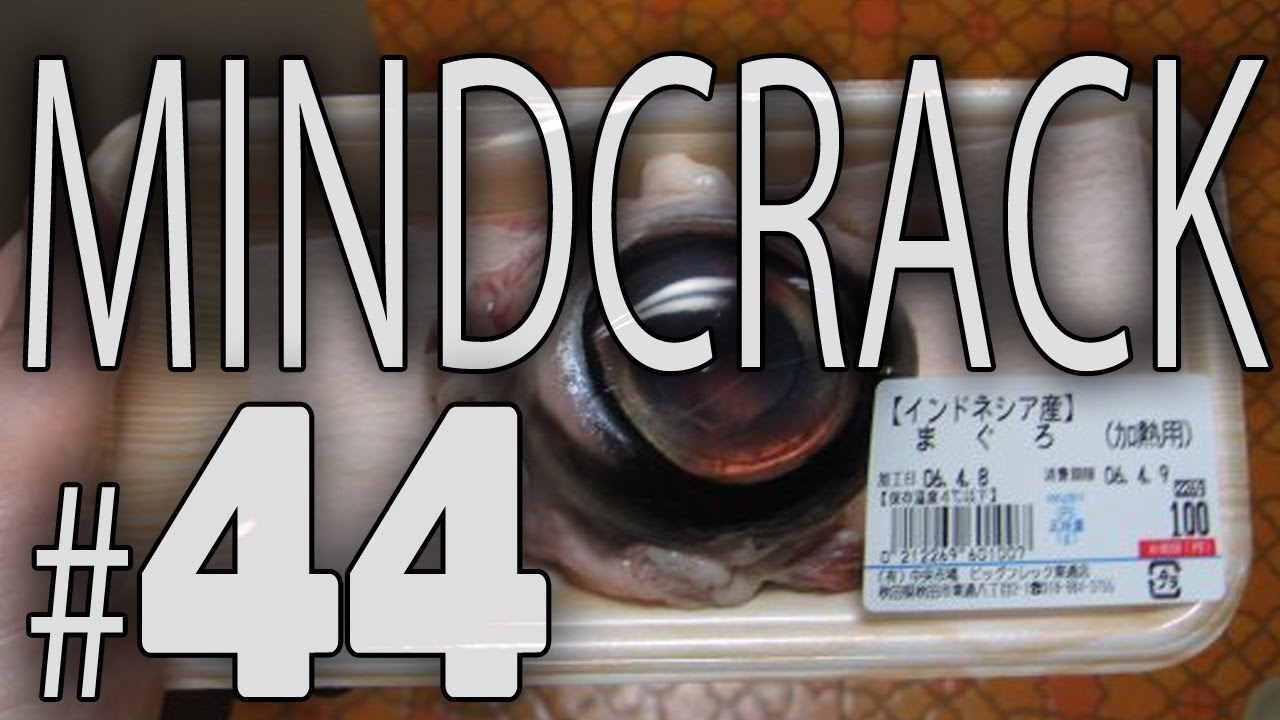 Mindcrack Number 44 - 