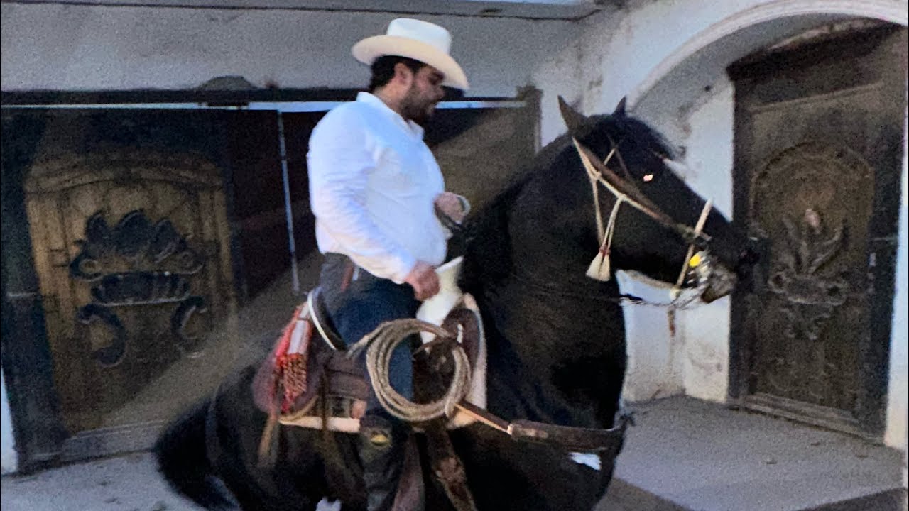 Cabalgata con la banda En El Salado Sinaloa…🤠🐴🎺🥁🍾