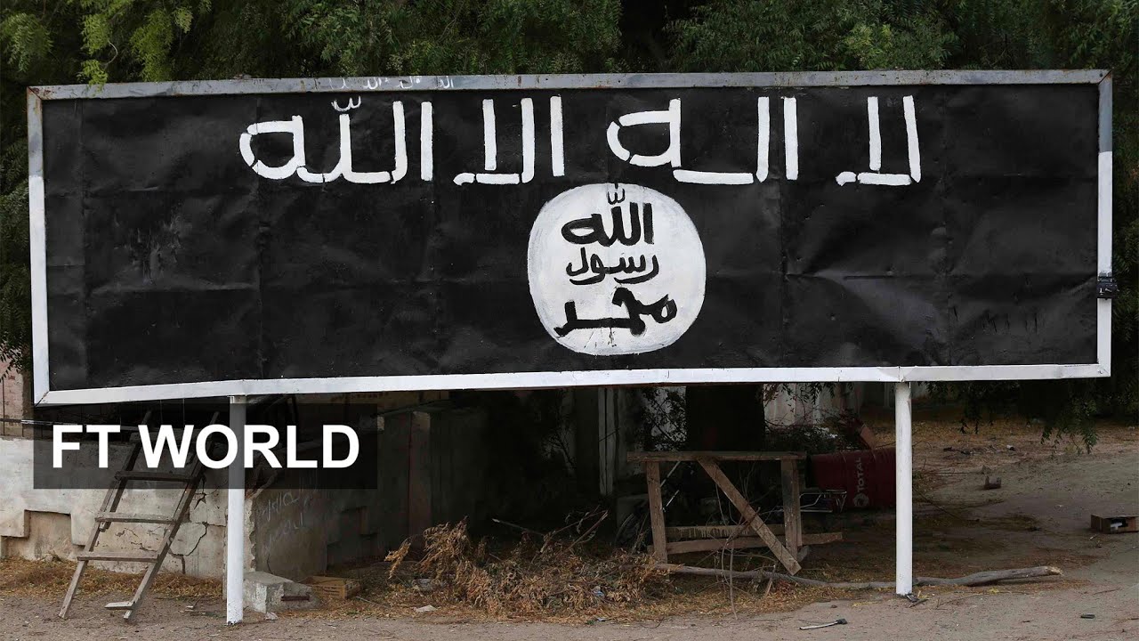 Наёмники помогают бороться с «Боко Харам» | FT World