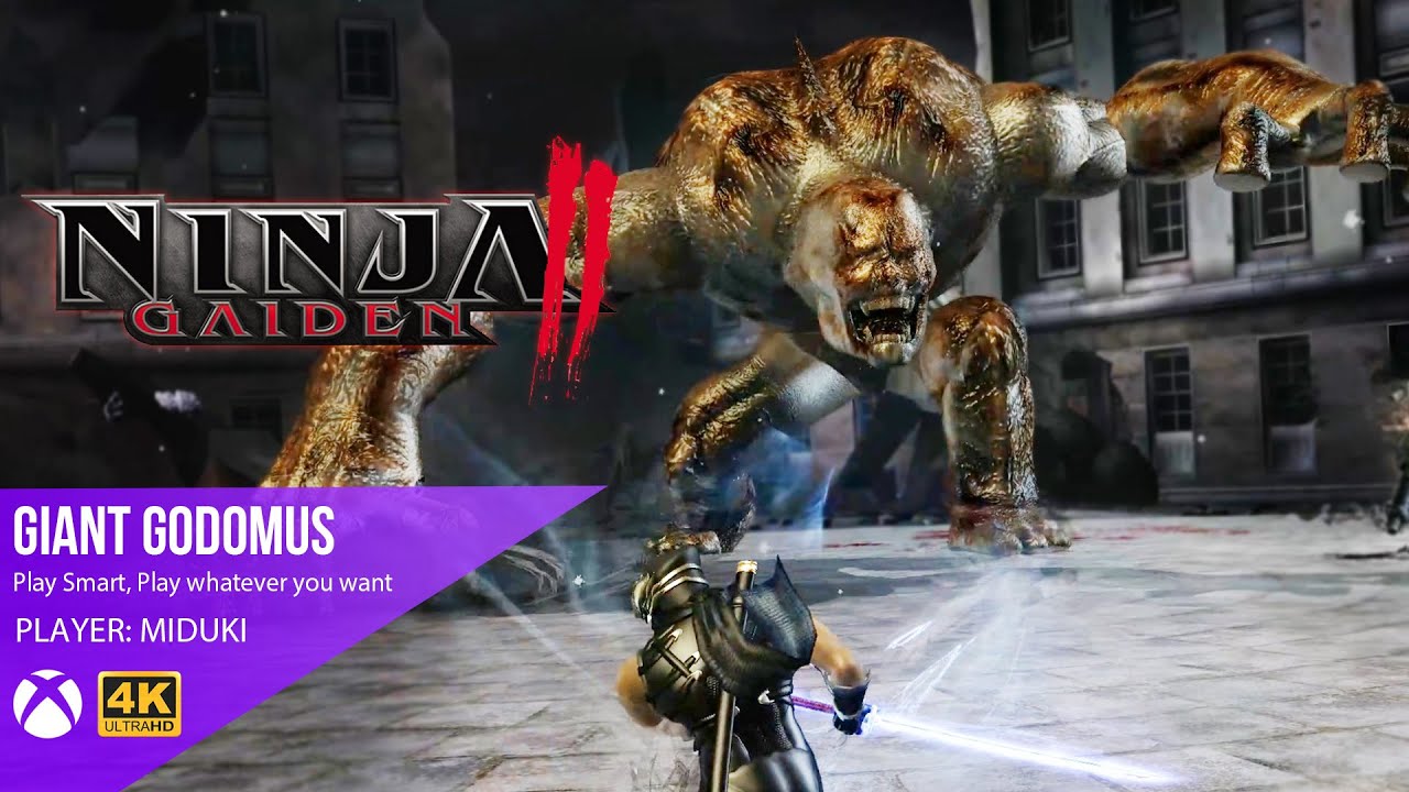 NINJA GAIDEN 2 | Master Ninja CH8 | Godomus | No Damage, Dragon Sword