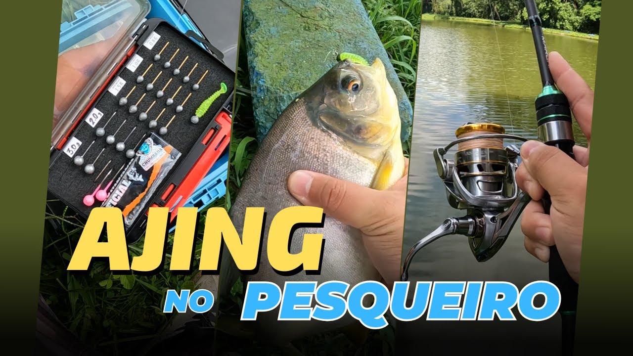 Pescaria de AJING no pesqueiro! Ajing em pesqueiro da certo?