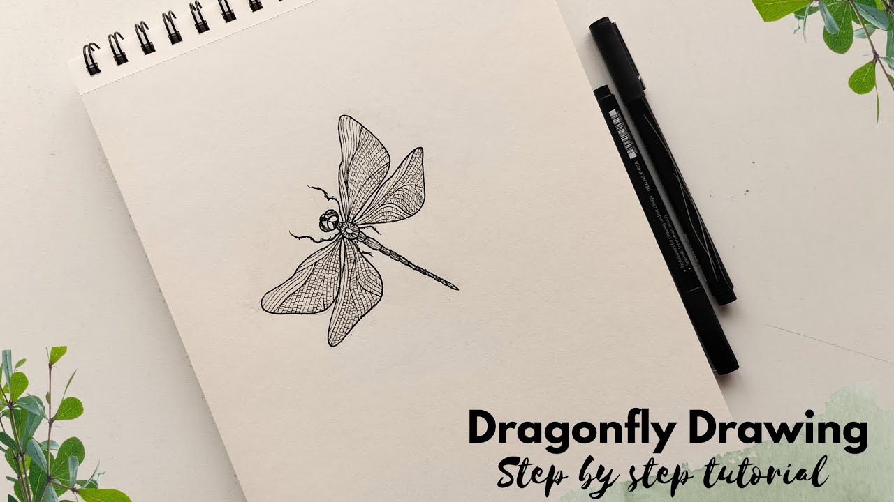 How to draw a dragonfly. Easy dragonfly drawing tutorial. Step by step guide for beginners.