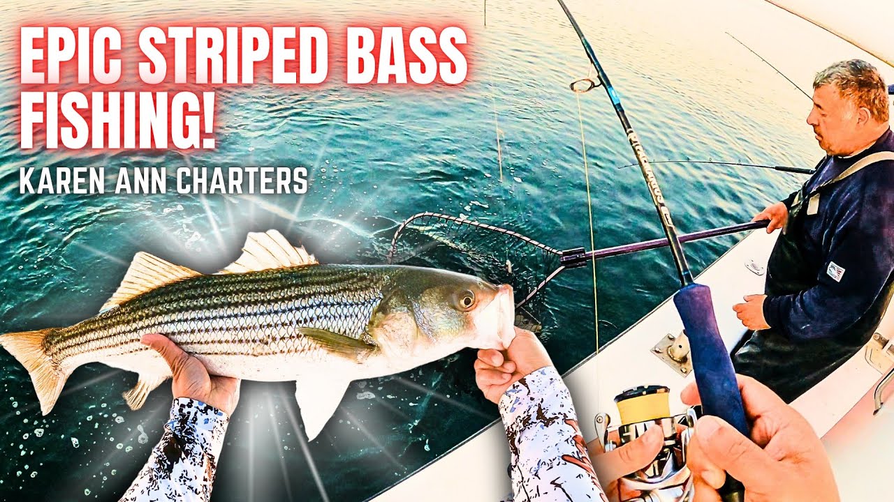 Epic STRIPED BASS Fishing in Jamaica Bay! | Karen Ann Charters