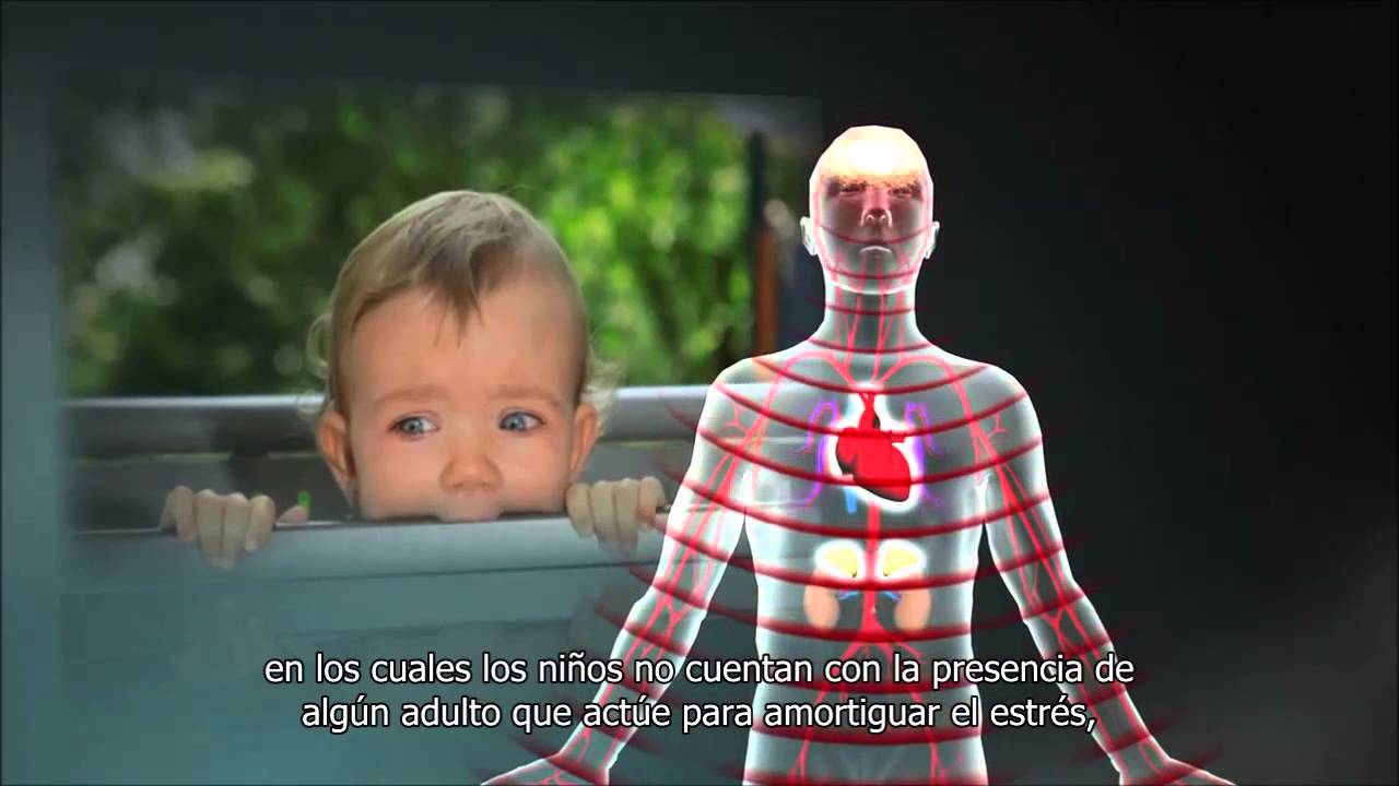 El Estrés Tóxico Perjudica el Desarrollo Saludable