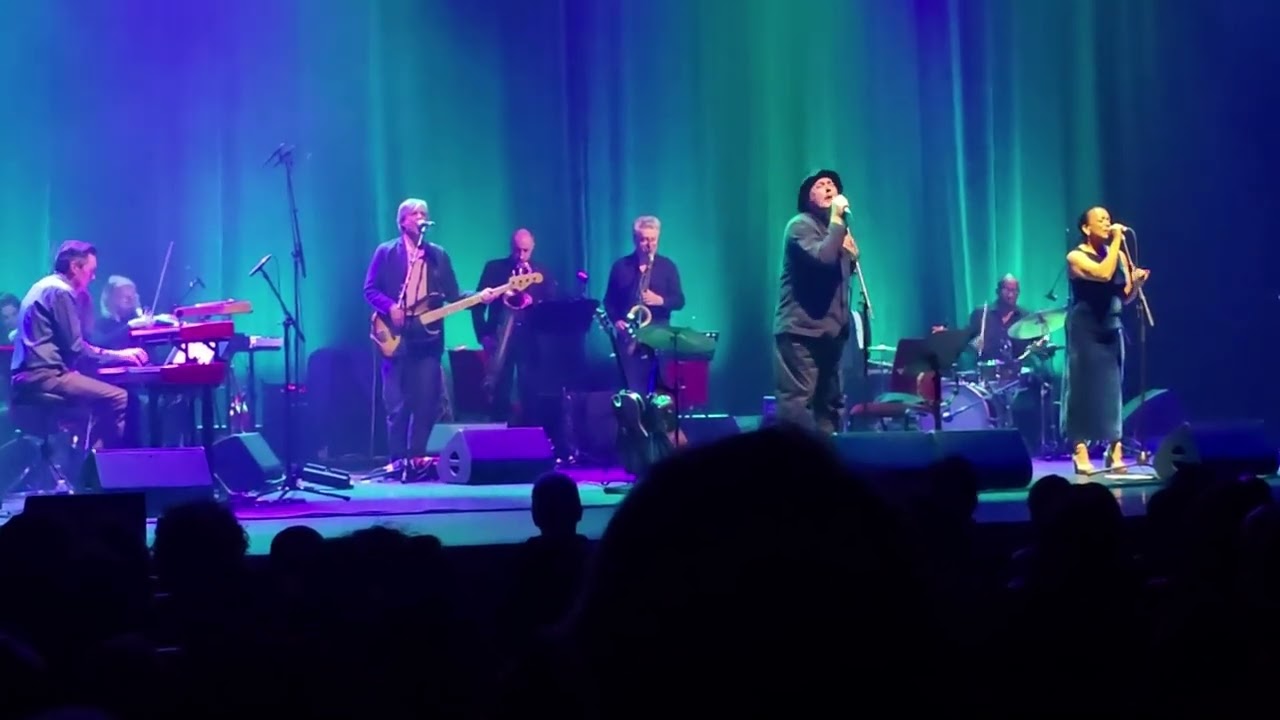 Tindersticks à la Salle Pleyel 12 mars 2025